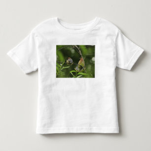 VS, Oregon, Portland. Mannelijke cediaarwasvogel Kinder Shirts