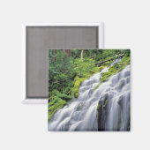 VS, Oregon, Proxy Falls. Proxy Falls stroomt Magneet (Voorkant / Achterkant)