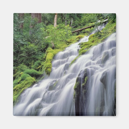 VS, Oregon, Proxy Falls. Proxy Falls stroomt Magneet (Voorkant)