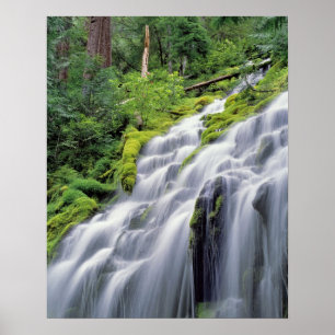 VS, Oregon, Proxy Falls. Proxy Falls stroomt Poster