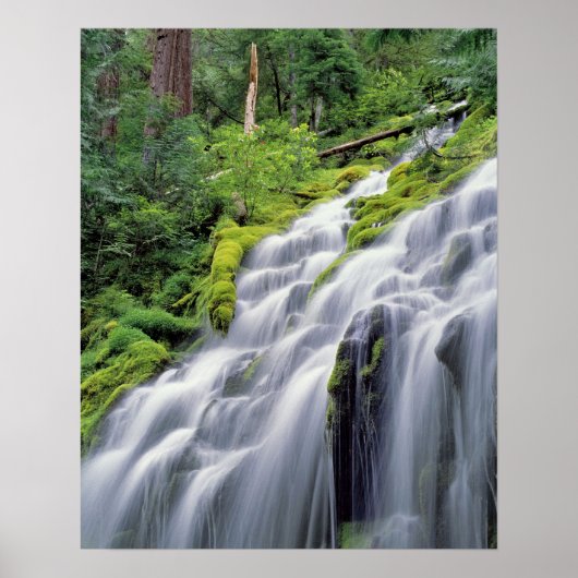 VS, Oregon, Proxy Falls. Proxy Falls stroomt Poster (Voorkant)