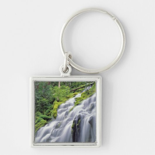 VS, Oregon, Proxy Falls. Proxy Falls stroomt snel Sleutelhanger (Voorkant)