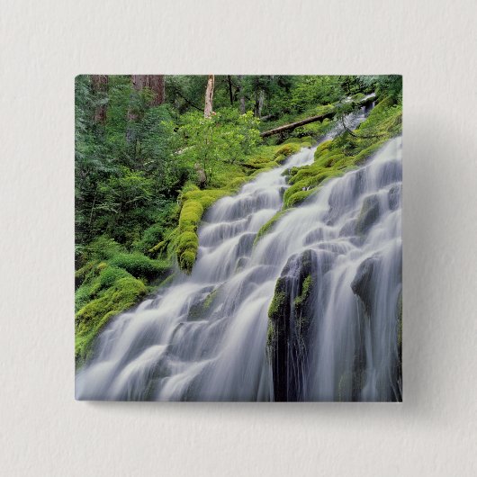 VS, Oregon, Proxy Falls. Proxy Falls stroomt Vierkante Button 5,1 Cm (Voorkant)