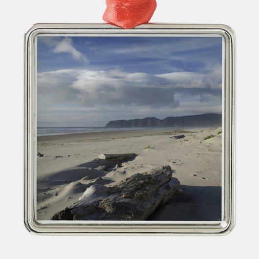 VS, Oregon, Sand Dunes en Ocean, Pacific City Metalen Ornament (Voorkant)