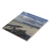 VS, Oregon, Sand Dunes en Ocean, Pacific City Tegeltje (Zijkant)