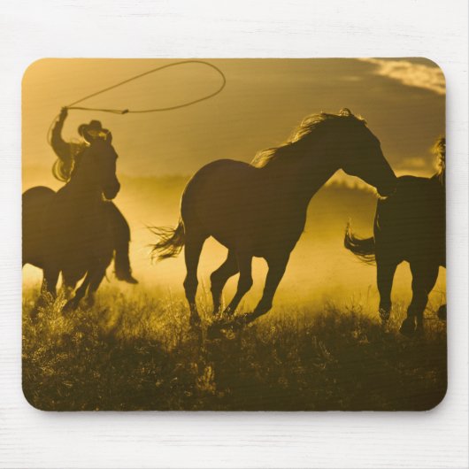 VS, Oregon, Seneca, Ponderosa Ranch. Muismat (Voorkant)