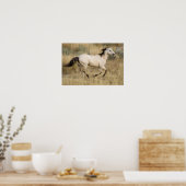 VS, Oregon, Seneca, Ponderosa Ranch. Paard Poster (Keuken)