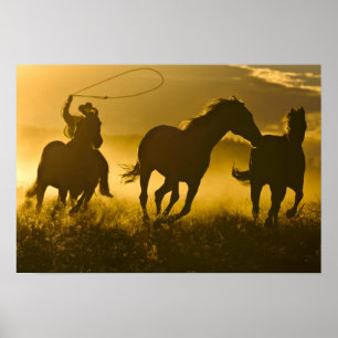 VS, Oregon, Seneca, Ponderosa Ranch. Poster