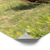 VS, Oregon, Shaniko. Rusty tractor Poster (Hoek)