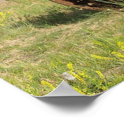 VS, Oregon, Shaniko. Rusty tractor Poster (Hoek)