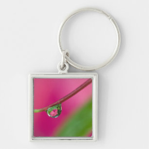 VS, Oregon, Shore Acres Gardens, Waterdruppel Sleutelhanger