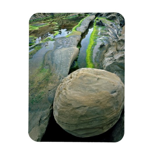 VS, Oregon, Shore Acres State Park Magneet (Verticaal)