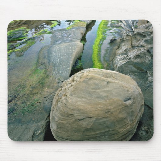 VS, Oregon, Shore Acres State Park Muismat (Voorkant)