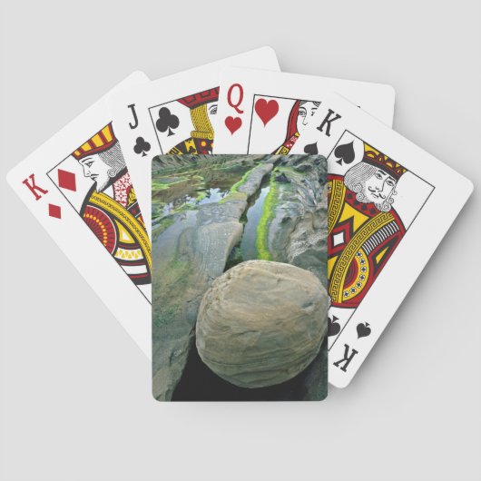 VS, Oregon, Shore Acres State Park Pokerkaarten (Achterkant)