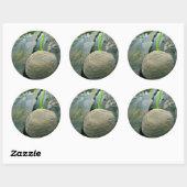 VS, Oregon, Shore Acres State Park Ronde Sticker (Vel)