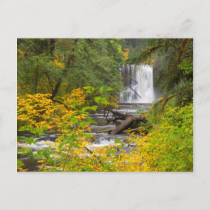 VS, Oregon, Silver Falls State Park 2 Briefkaart