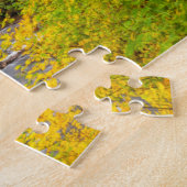 VS, Oregon, Silver Falls State Park 2 Legpuzzel (Zijkant)