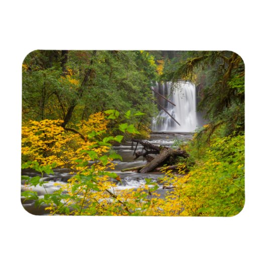 VS, Oregon, Silver Falls State Park 2 Magneet (Horizontaal)