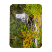 VS, Oregon, Silver Falls State Park 2 Magneet (Verticaal)