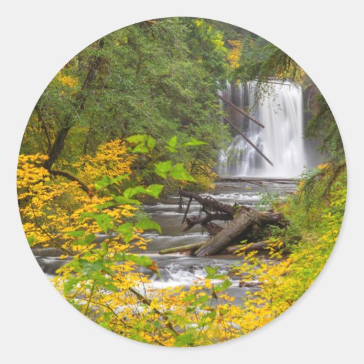 VS, Oregon, Silver Falls State Park 2 Ronde Sticker (Voorkant)