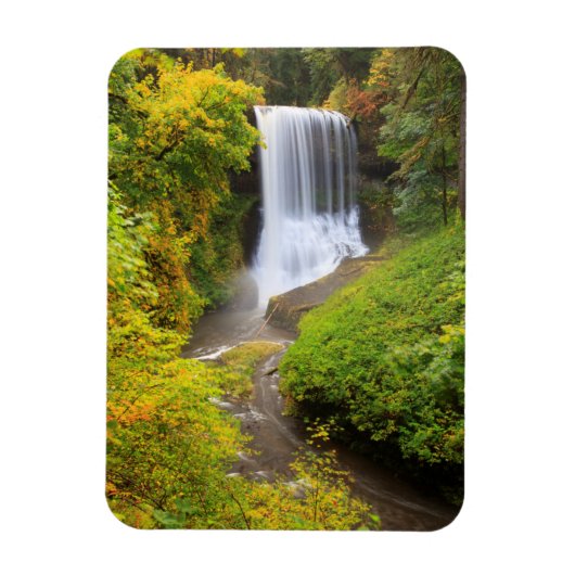 VS, Oregon, Silver Falls State Park 3 Magneet (Verticaal)