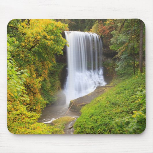 VS, Oregon, Silver Falls State Park 3 Muismat (Voorkant)
