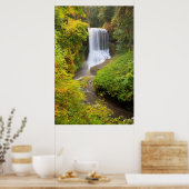 VS, Oregon, Silver Falls State Park 3 Poster (Keuken)