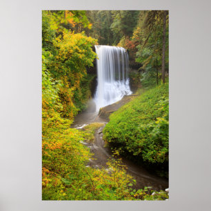 VS, Oregon, Silver Falls State Park 3 Poster