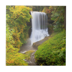 VS, Oregon, Silver Falls State Park 3 Tegeltje