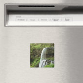 VS, Oregon, Silver Falls State Park. Lagere Magneet (Insitu (Vaatwasser))