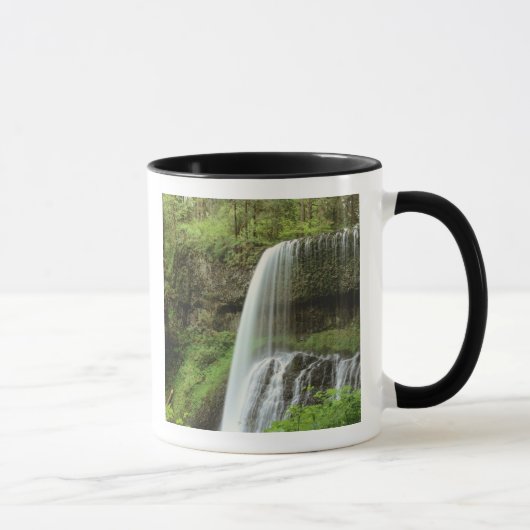 VS, Oregon, Silver Falls State Park. Lagere Mok (Rechts)