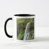 VS, Oregon, Silver Falls State Park. Lagere Mok (Links)