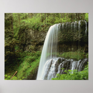 VS, Oregon, Silver Falls State Park. Lagere Poster