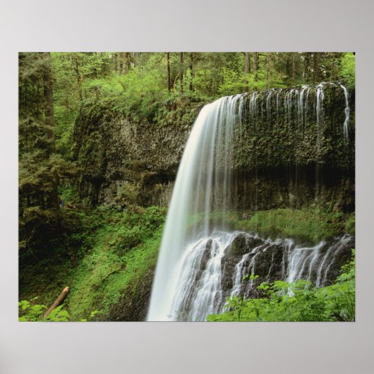 VS, Oregon, Silver Falls State Park. Lagere Poster (Voorkant)
