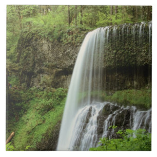 VS, Oregon, Silver Falls State Park. Lower Tegeltje