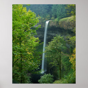 VS, Oregon, Silver Falls State Park Poster