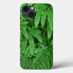 VS, Oregon, Silverton. Adelaarsvarens Case-Mate iPhone Case