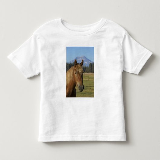 VS, Oregon, Sisters, uitzicht op Three Sisters, Kinder Shirts (Voorkant)
