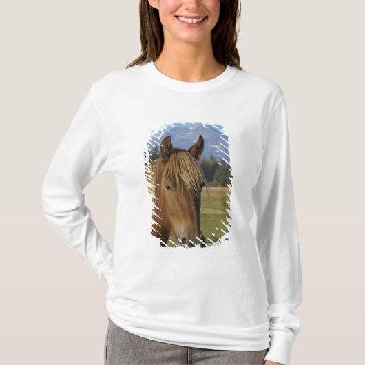 VS, Oregon, Sisters, uitzicht op Three Sisters, T-shirt (Voorkant)