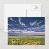 VS, Oregon, Steens Mountain. Lente bloeit Briefkaart (Voorkant / Achterkant)