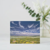 VS, Oregon, Steens Mountain. Lente bloeit Briefkaart (Staand voorkant)