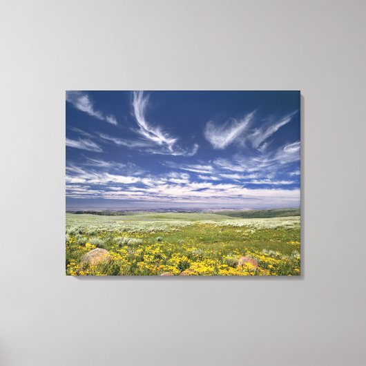 VS, Oregon, Steens Mountain. Lente bloeit Canvas Afdruk (Voorkant)