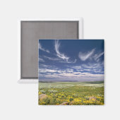VS, Oregon, Steens Mountain. Lente bloeit Magneet (Voorkant / Achterkant)