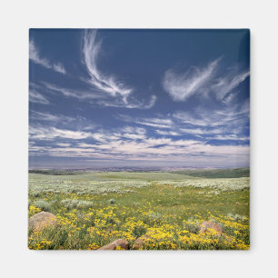 VS, Oregon, Steens Mountain. Lente bloeit Magneet