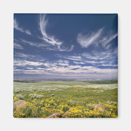 VS, Oregon, Steens Mountain. Lente bloeit Magneet (Voorkant)