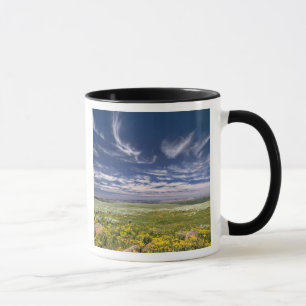 VS, Oregon, Steens Mountain. Lente bloeit Mok