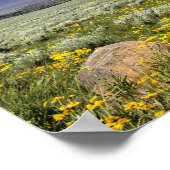 VS, Oregon, Steens Mountain. Lente bloeit Poster (Hoek)