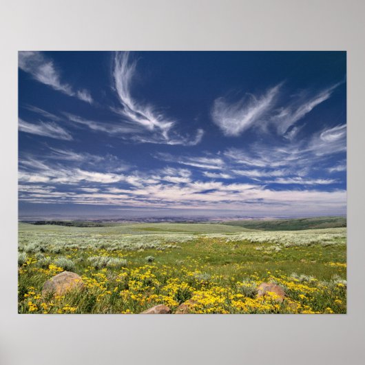 VS, Oregon, Steens Mountain. Lente bloeit Poster (Voorkant)