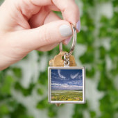 VS, Oregon, Steens Mountain. Lente bloeit Sleutelhanger (Hand)