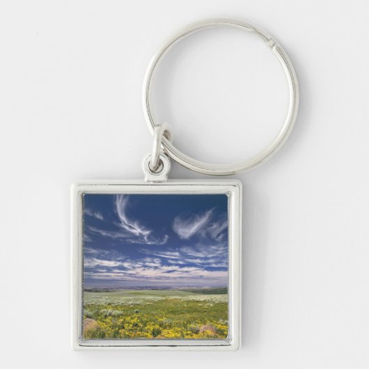 VS, Oregon, Steens Mountain. Lente bloeit Sleutelhanger (Voorkant)
